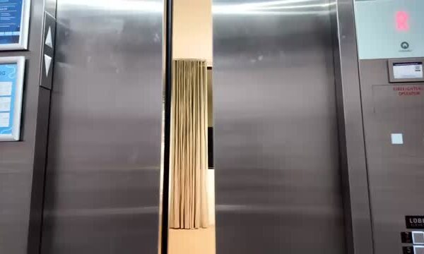 Christmas time is upon us, and joy fills the air! The Georgia Association of Black County Officials hosted an unforgettable Annual Presidents Reception, celebrating the invaluable contributions of county officials statewide. This special evening showcased dedication and unity as they work tirelessly to enhance the lives of residents and communities across Georgia. A heartfelt thank you goes out to all who attended, reaffirming a shared commitment to leadership and equitable governance. Together, stronger counties are built for all Georgians. Media Credit: Marvin Arrington, Jr.