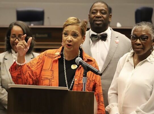 In 2004, visionary leaders Lorenzo Scott, Charlie Flemming, and Cathy Howell came together to establish Georgia STAND-UP, a dynamic force for change in our communities. Under the inspiring leadership of Executive Director Deborah Scott, this organization has become a powerful “think and act tank for working families.” With a mission to enhance civic engagement, voter education, and equitable public policy, Georgia STAND-UP has united community, labor, academic, and government partners to tackle pressing issues like housing, transit, environmental justice, and economic opportunity in Fulton County. Media Credit: Fulton County Government